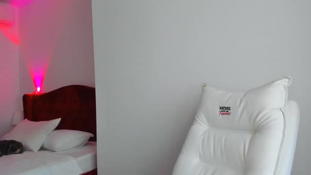 Gallery image thumbnail from ASTAR's myfreecams stream on, 12/04/2023, 10:13 image 15 of 20