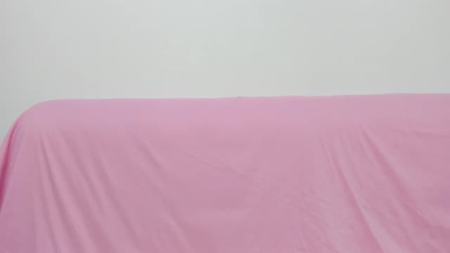 Gallery image thumbnail from Aeena's myfreecams stream on, 03/18/2025, 23:04 image 18 of 20