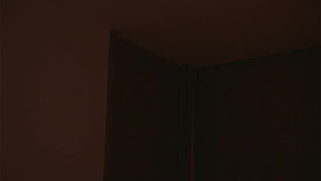 Gallery image thumbnail from Aila_'s myfreecams stream on, 12/31/2024, 24:02 image 9 of 20
