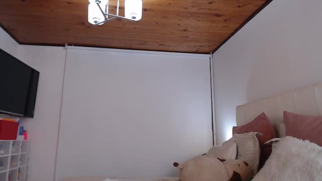 Gallery image thumbnail from AmyLi's myfreecams stream on, 01/29/2025, 06:59 image 12 of 20