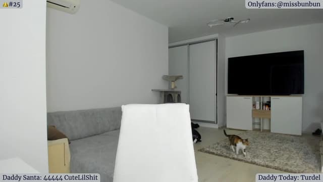 Gallery image thumbnail from Angie's myfreecams stream on, 12/22/2022, 06:17 image 11 of 20