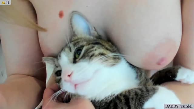 Gallery image thumbnail from Angie's myfreecams stream on, 05/22/2023, 04:33 image 18 of 20