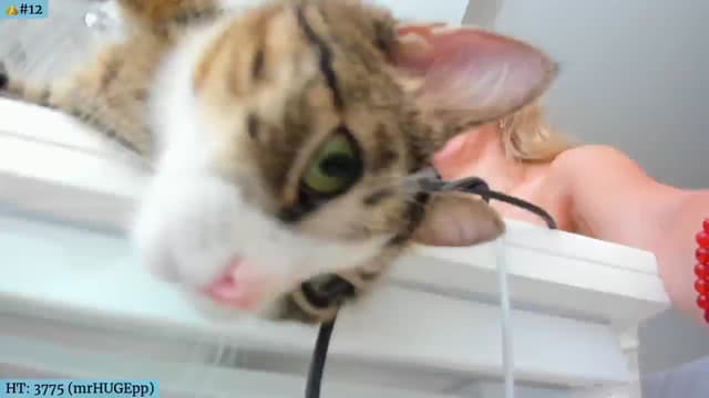 Gallery image thumbnail from Angie's myfreecams stream on, 07/21/2024, 05:34 image 6 of 20