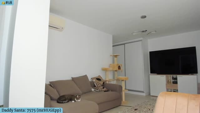 Gallery image thumbnail from Angie's myfreecams stream on, 12/14/2024, 06:33 image 6 of 20