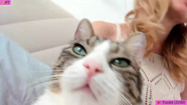 Gallery image thumbnail from Angie's myfreecams stream on, 07/28/2026, 05:38 image 17 of 20