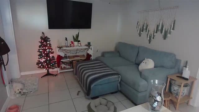 Gallery image thumbnail from Bambz's myfreecams stream on, 01/05/2026, 16:58 image 12 of 20