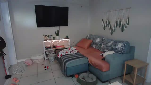 Gallery image thumbnail from Bambz's myfreecams stream on, 01/08/2026, 16:10 image 4 of 20