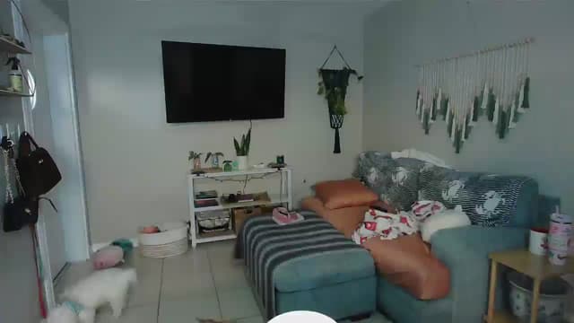 Gallery image thumbnail from Bambz's myfreecams stream on, 01/12/2026, 15:42 image 1 of 20
