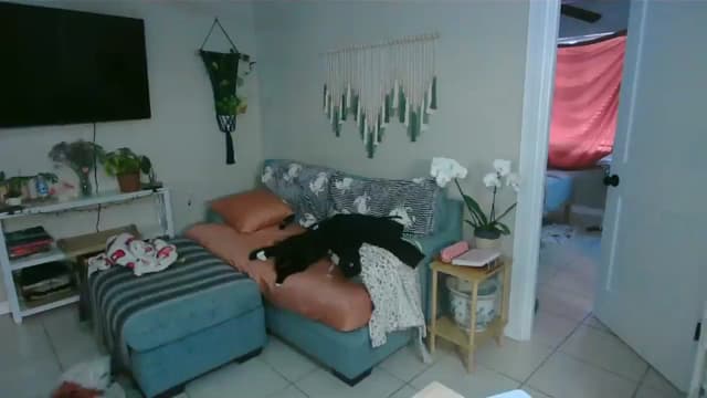 Gallery image thumbnail from Bambz's myfreecams stream on, 02/02/2026, 15:59 image 12 of 20