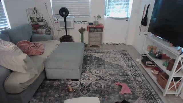 Gallery image thumbnail from Bambz's myfreecams stream on, 08/01/2026, 21:05 image 15 of 20
