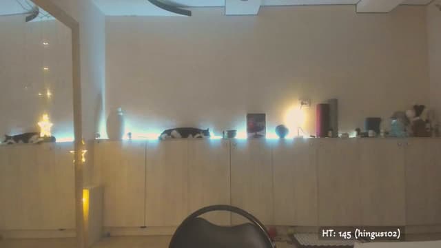 Gallery image thumbnail from BdayK's myfreecams stream on, 08/04/2025, 02:05 image 2 of 20