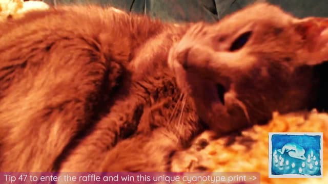 Gallery image thumbnail from Beth_'s myfreecams stream on, 12/27/2024, 23:01 image 9 of 20