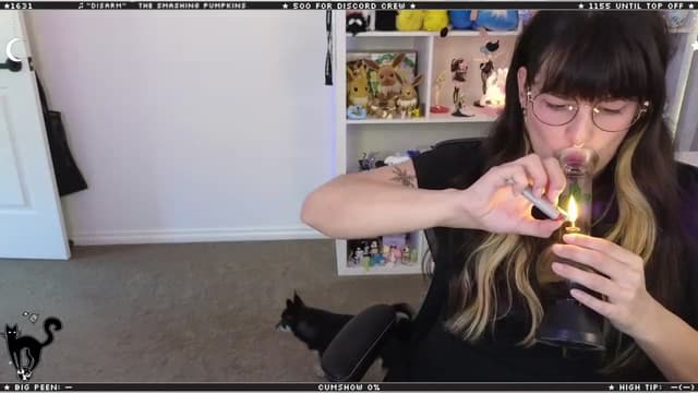 Gallery image thumbnail from Cat__'s myfreecams stream on, 02/07/2024, 07:33 image 13 of 20