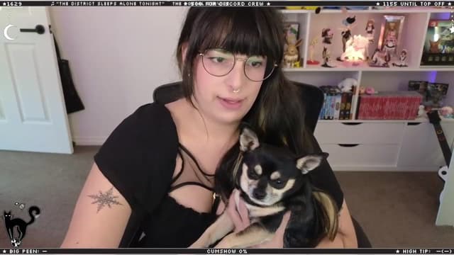 Gallery image thumbnail from Cat__'s myfreecams stream on, 02/07/2024, 07:33 image 10 of 20
