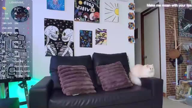 Gallery image thumbnail from Cocox's myfreecams stream on, 01/20/2025, 15:27 image 12 of 20