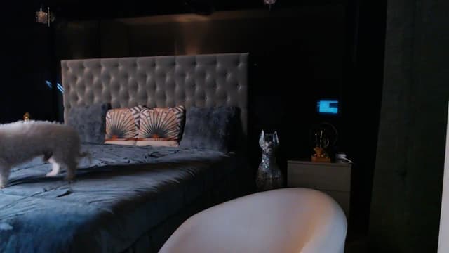 Gallery image thumbnail from D_y_y's myfreecams stream on, 08/22/2025, 04:59 image 20 of 20