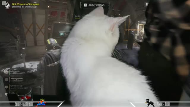 Gallery image thumbnail from Dashy's myfreecams stream on, 03/24/2024, 09:24 image 2 of 20
