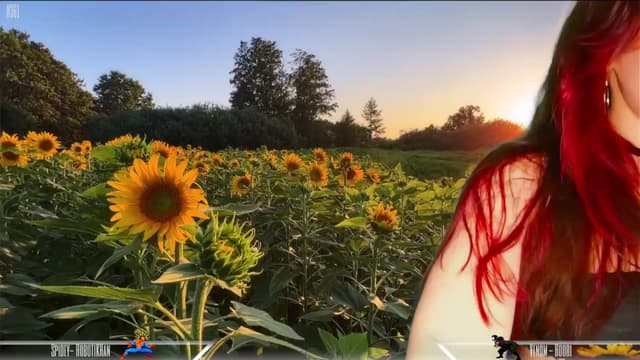 Gallery image thumbnail from Dashy's myfreecams stream on, 03/29/2024, 11:24 image 11 of 20