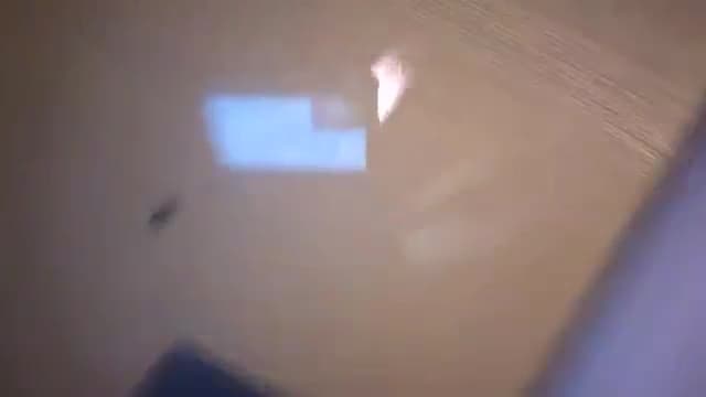 Gallery image thumbnail from Dashy's myfreecams stream on, 08/10/2024, 05:18 image 2 of 20