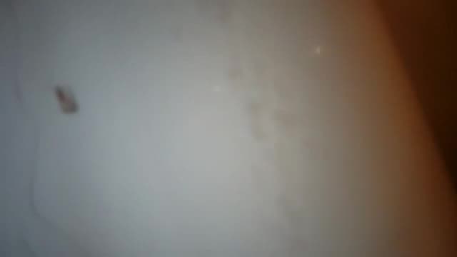 Gallery image thumbnail from Dashy's myfreecams stream on, 08/10/2024, 05:18 image 7 of 20
