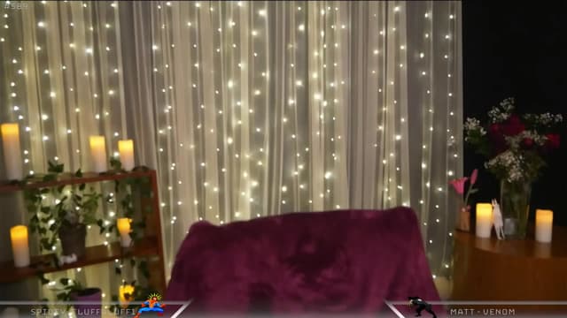 Gallery image thumbnail from Dashy's myfreecams stream on, 03/14/2025, 06:40 image 4 of 20