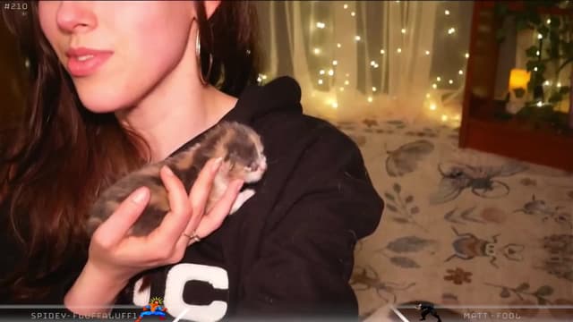 Gallery image thumbnail from Dashy's myfreecams stream on, 04/01/2025, 08:18 image 16 of 20