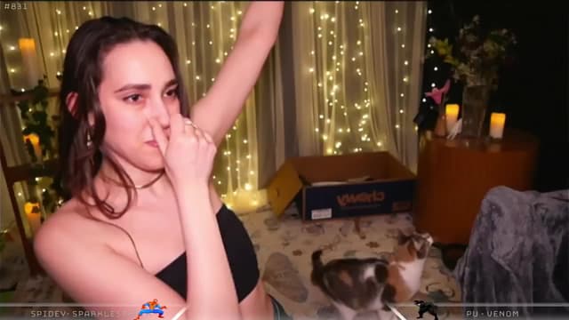 Gallery image thumbnail from Dashy's myfreecams stream on, 04/10/2025, 07:59 image 13 of 20