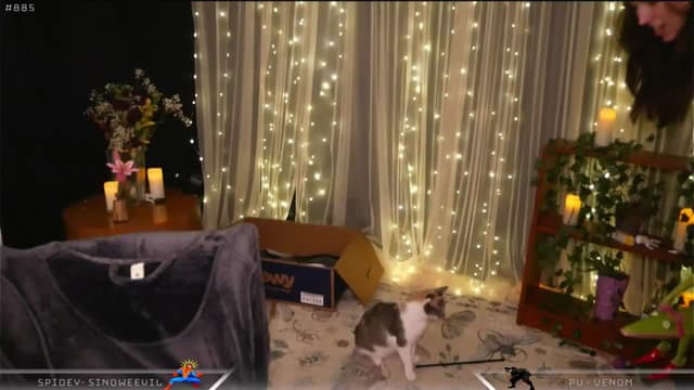 Gallery image thumbnail from Dashy's myfreecams stream on, 04/15/2025, 10:44 image 5 of 20