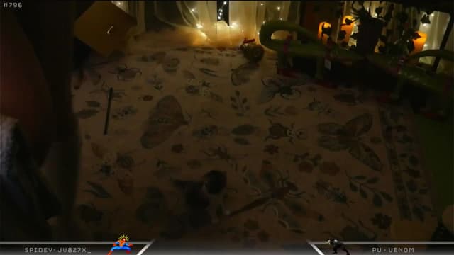 Gallery image thumbnail from Dashy's myfreecams stream on, 04/19/2025, 11:16 image 19 of 20