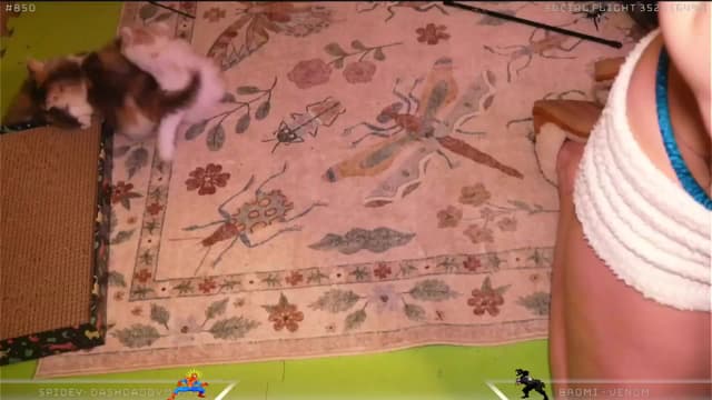 Gallery image thumbnail from Dashy's myfreecams stream on, 05/06/2025, 07:49 image 8 of 20