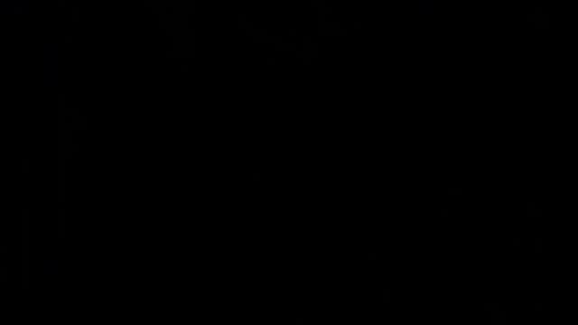 Gallery image thumbnail from Desal's myfreecams stream on, 06/24/2025, 13:40 image 4 of 20
