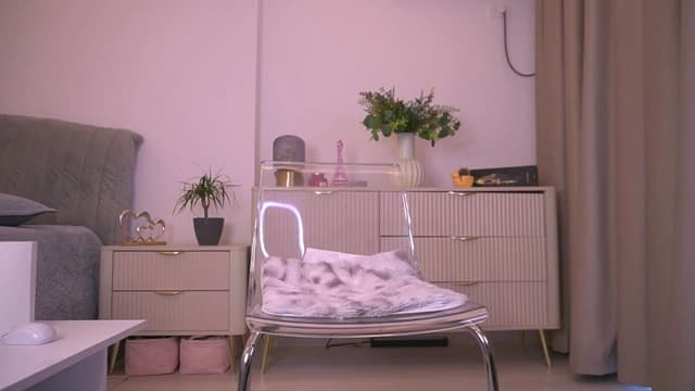 Gallery image thumbnail from Diaaa's myfreecams stream on, 03/12/2026, 12:10 image 8 of 20