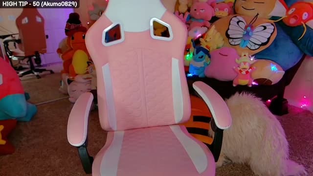 Gallery image thumbnail from HALEY's myfreecams stream on, 07/24/2025, 05:10 image 1 of 20
