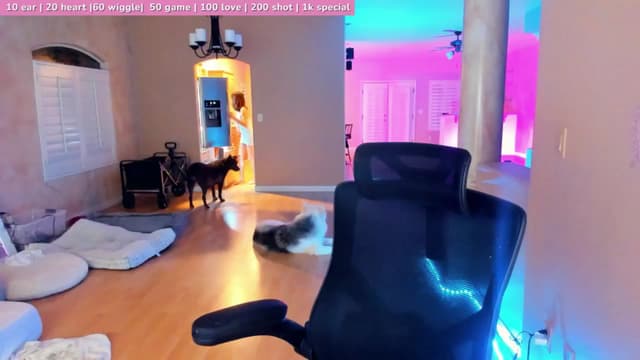 Gallery image thumbnail from Haru_'s myfreecams stream on, 02/08/2025, 06:01 image 1 of 20