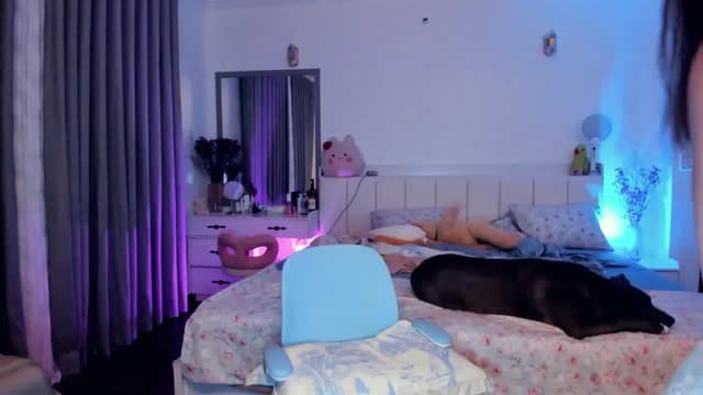 Gallery image thumbnail from Haru_'s myfreecams stream on, 06/13/2025, 05:12 image 8 of 20