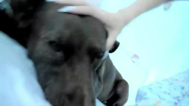 Gallery image thumbnail from Haru_'s myfreecams stream on, 07/09/2025, 05:59 image 18 of 20