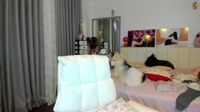 Gallery image thumbnail from Haru_'s myfreecams stream on, 01/14/2026, 04:43 image 11 of 20