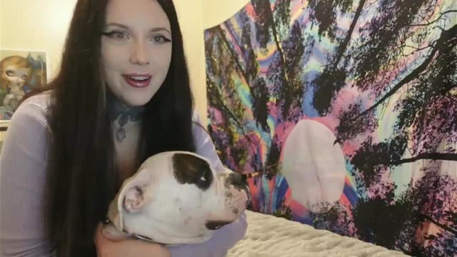 Gallery image thumbnail from Hxzel's myfreecams stream on, 09/24/2024, 18:03 image 13 of 20