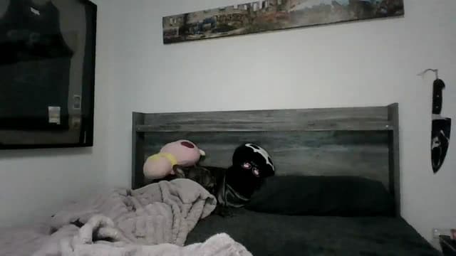 Gallery image thumbnail from Hxzel's myfreecams stream on, 03/18/2025, 04:50 image 12 of 20