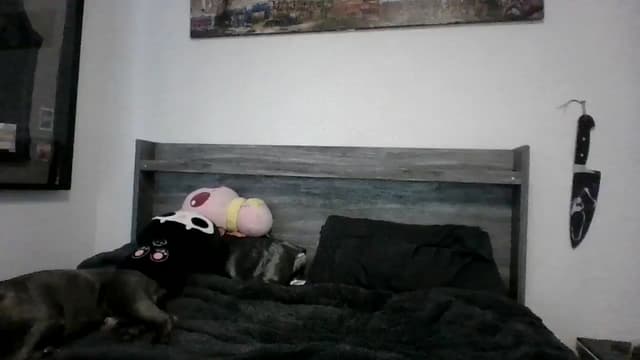 Gallery image thumbnail from Hxzel's myfreecams stream on, 03/21/2025, 01:04 image 1 of 20