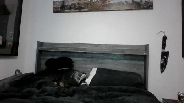 Gallery image thumbnail from Hxzel's myfreecams stream on, 03/21/2025, 03:13 image 8 of 20