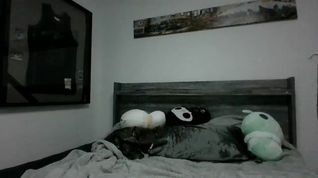 Gallery image thumbnail from Hxzel's myfreecams stream on, 04/23/2025, 03:42 image 17 of 20