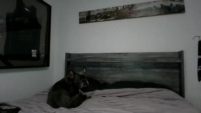 Gallery image thumbnail from Hxzel's myfreecams stream on, 04/30/2025, 03:19 image 13 of 20