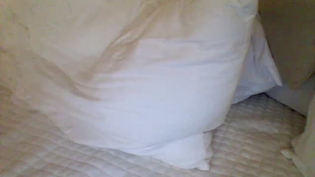 Gallery image thumbnail from Isa__'s myfreecams stream on, 05/16/2023, 02:36 image 13 of 20