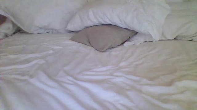 Gallery image thumbnail from Isa__'s myfreecams stream on, 06/23/2024, 21:29 image 7 of 20