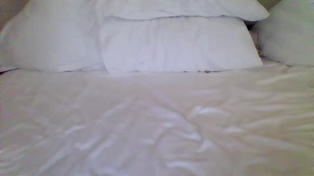 Gallery image thumbnail from Isa__'s myfreecams stream on, 11/26/2024, 18:50 image 19 of 20