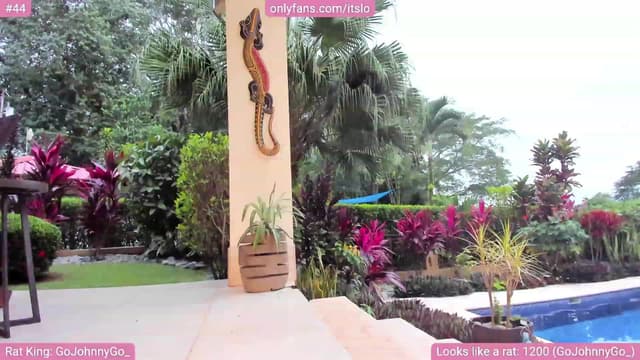 Gallery image thumbnail from ItsLo's myfreecams stream on, 10/12/2023, 23:26 image 18 of 20