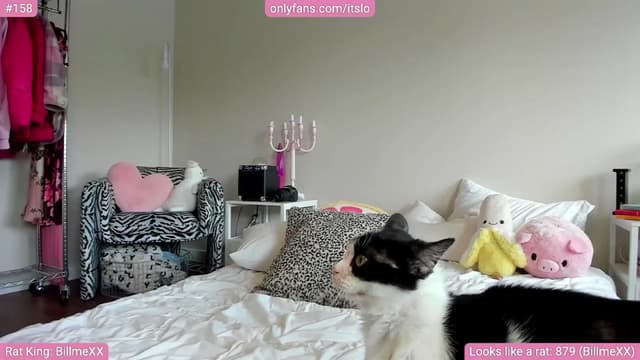 Gallery image thumbnail from ItsLo's myfreecams stream on, 04/01/2024, 22:58 image 1 of 20