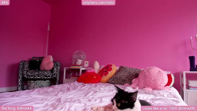 Gallery image thumbnail from ItsLo's myfreecams stream on, 04/09/2024, 18:43 image 16 of 20