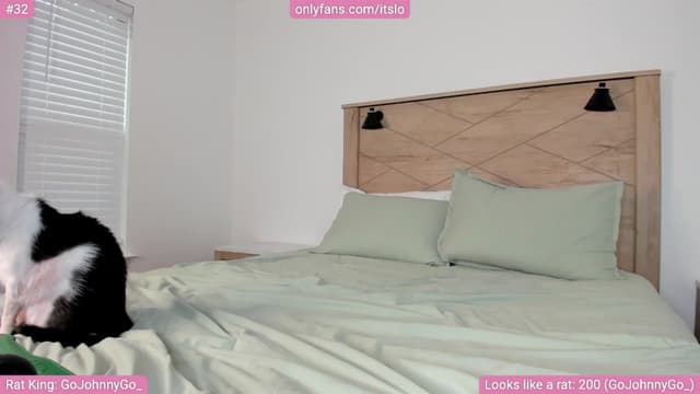 Gallery image thumbnail from ItsLo's myfreecams stream on, 05/03/2024, 23:56 image 14 of 20